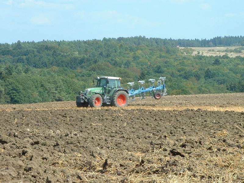bilder/20_8_2003_1/fendt_6.jpg