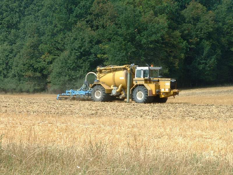 bilder/20_8_2003_1/terra_gator_7.jpg