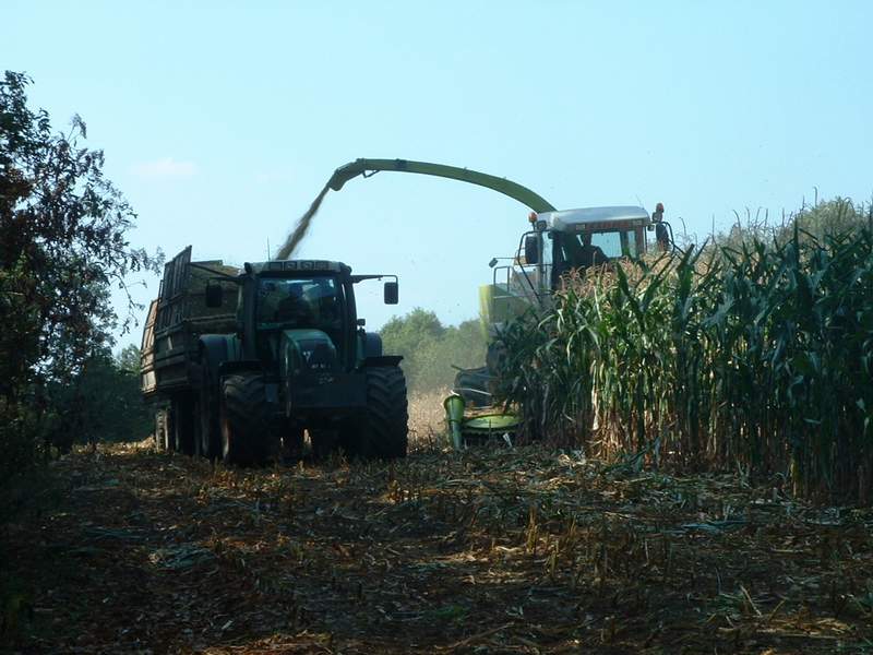 jaguar_fendt.jpg