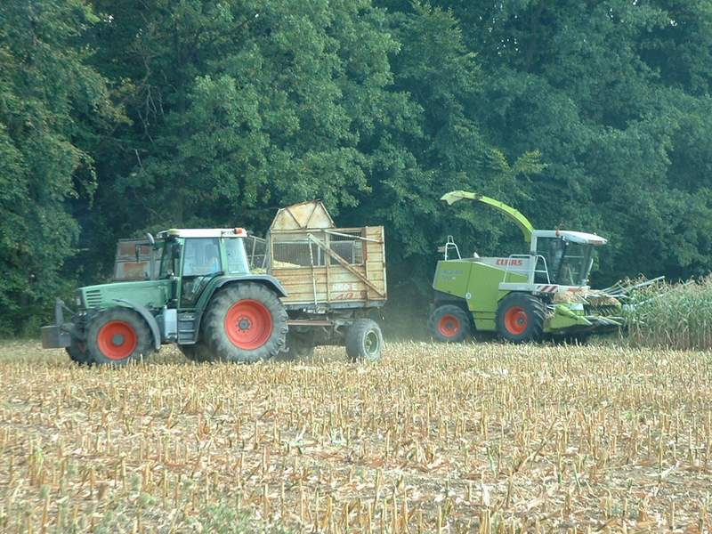 jaguar_fendt_10.jpg