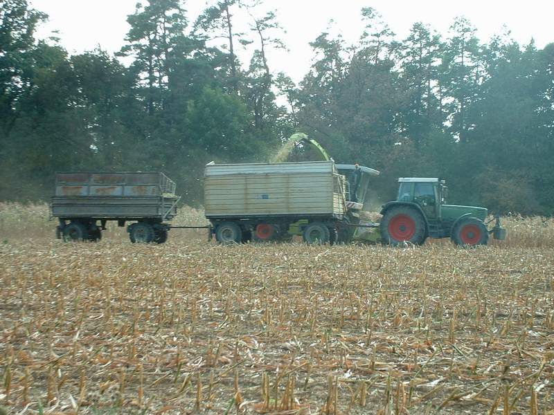 bilder/20_8_2003_2/jaguar_fendt_11.jpg