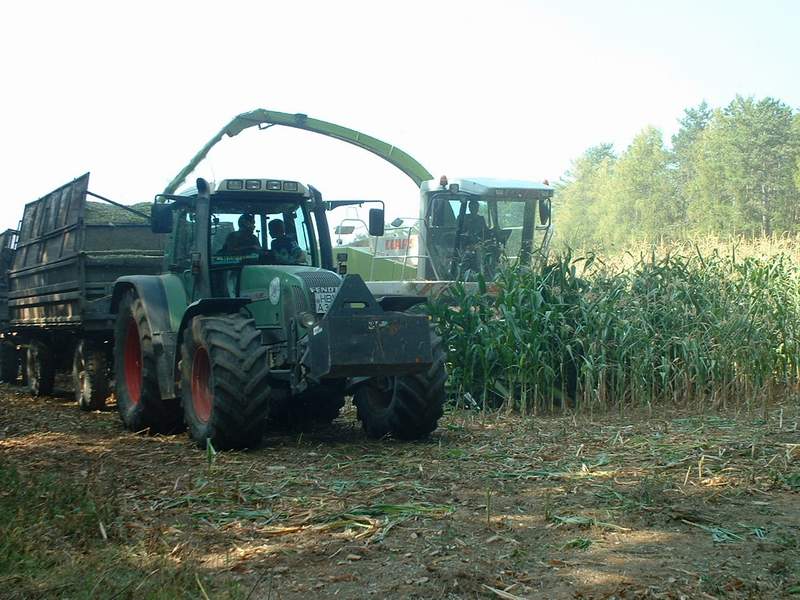 jaguar_fendt_2.jpg