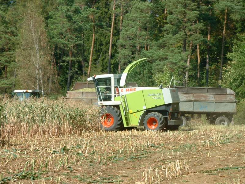 bilder/20_8_2003_2/jaguar_fendt_4.jpg