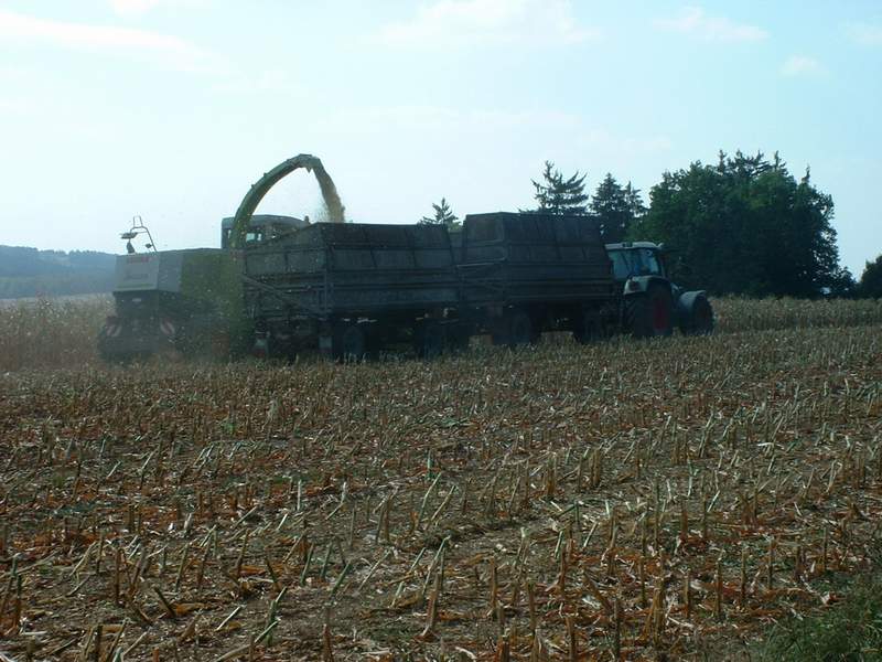 jaguar_fendt_8.jpg