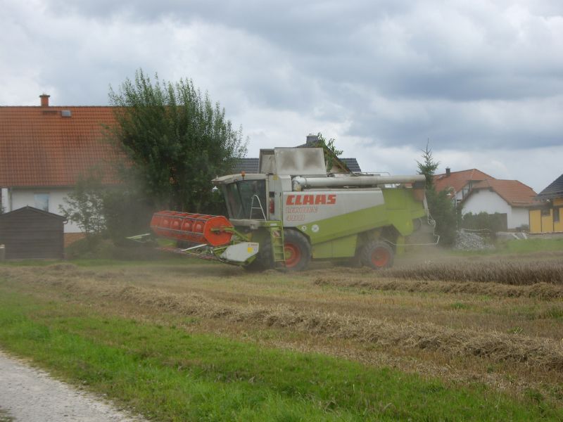 bilder/16_6_2011/CIMG2515.jpg