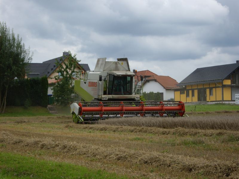 bilder/20_8_2007/IMGP1146.jpg