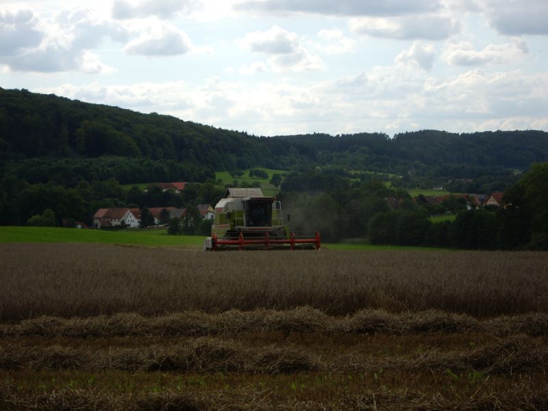 bilder/20_8_2007/IMGP1171.jpg
