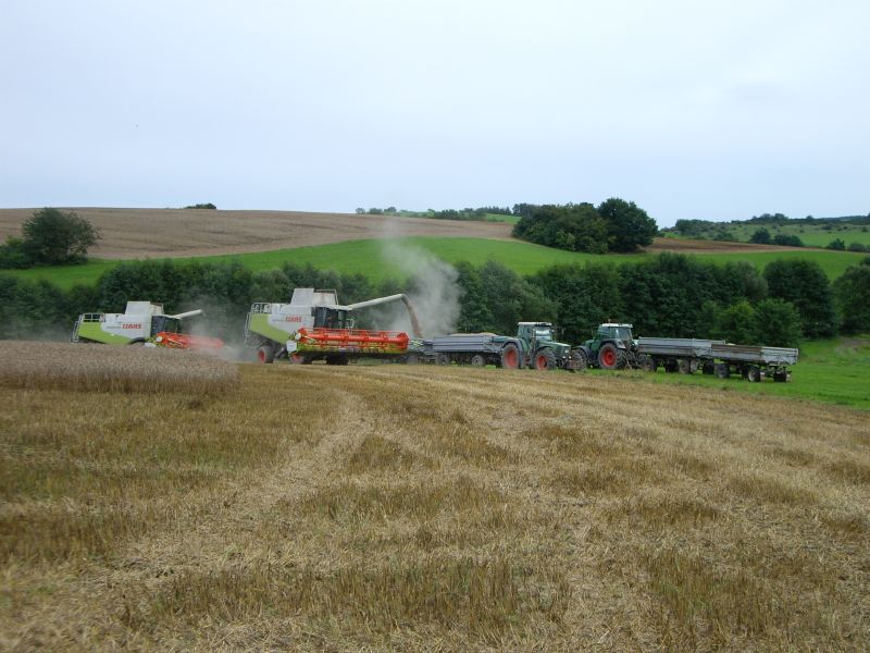 bilder/24_9_2003/fendt_4.jpg
