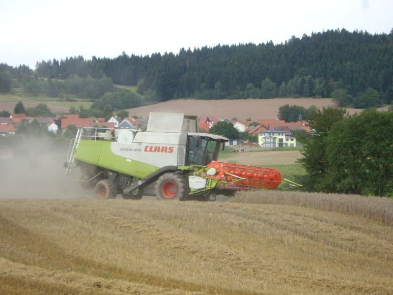 bilder/2024_07_02/DSC07700.jpg