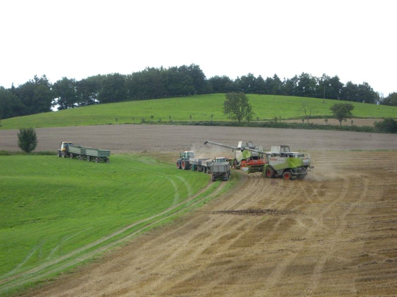 bilder/12_10_2015_3/DSC02846.jpg