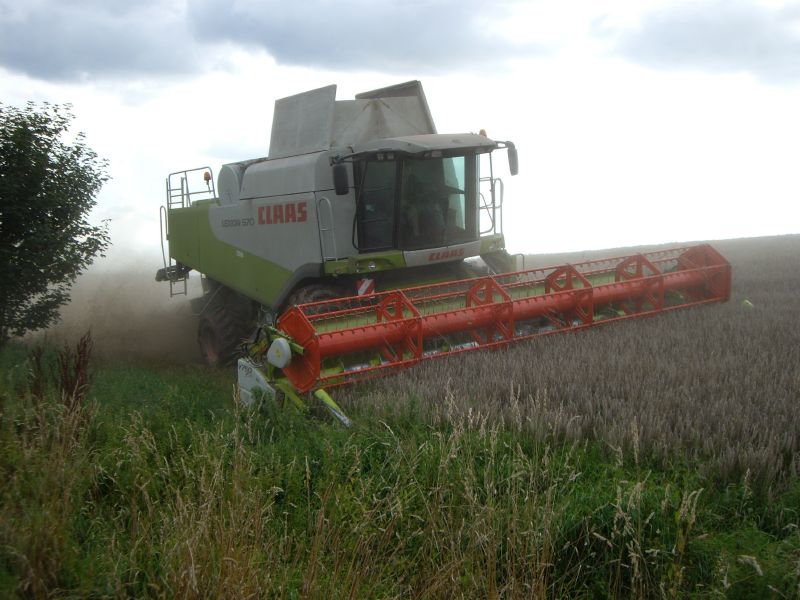 bilder/13_5_2002/xerion_4.jpg