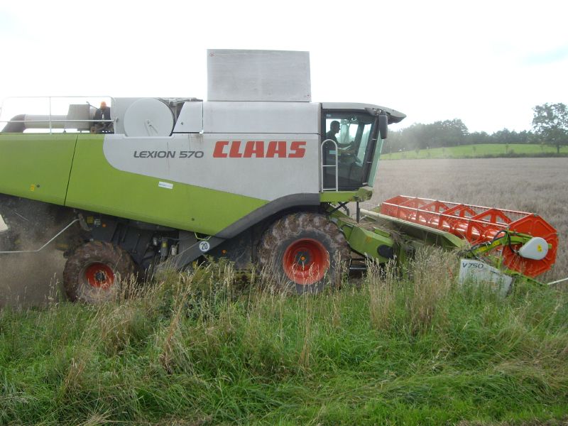 bilder/22_8_2002/lexion_24.jpg