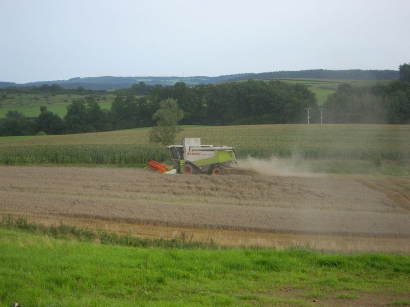bilder/31_8_2005/lexion_12.jpg