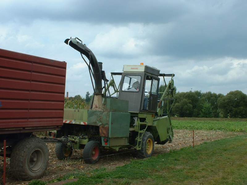 e_281_9.jpg