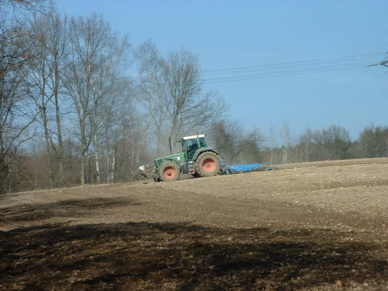 bilder/14_8_2011/CIMG4391.jpg