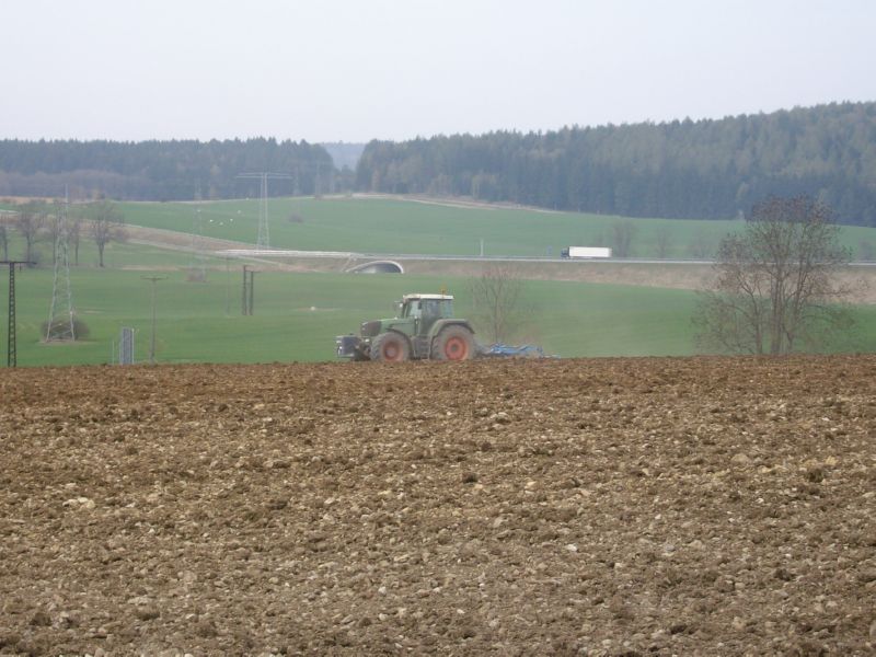 IMGP0626.jpg