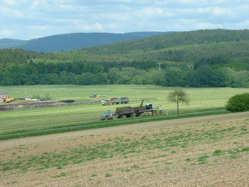 jaguar_880_+_fendt_824_+_zt_303.jpg
