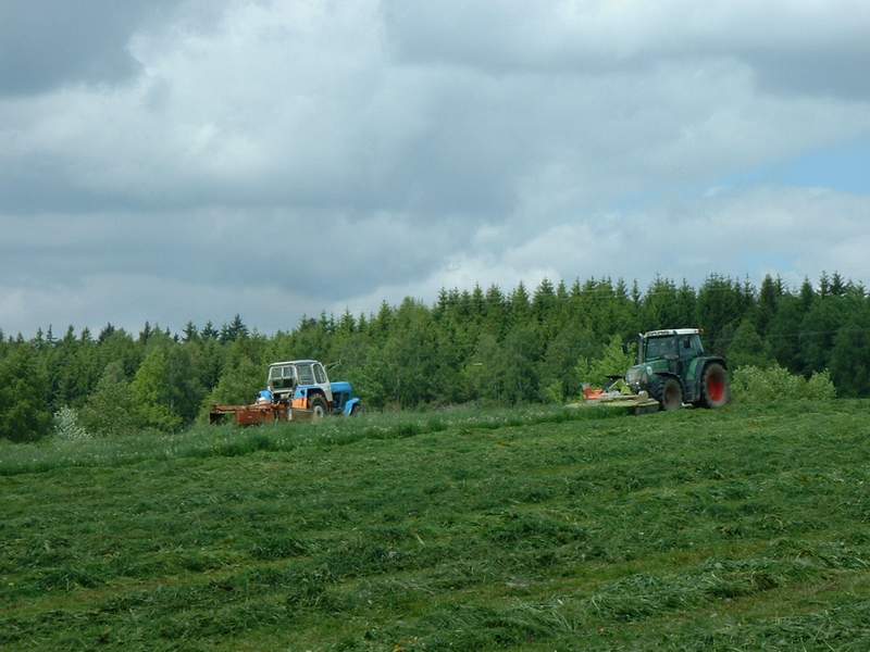 bilder/21_5_2002_2/fendt_716_+_zt_303_2.jpg