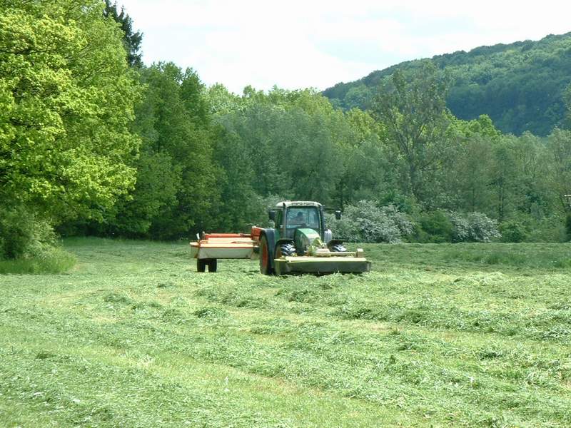 bilder/21_5_2002_2/fendt_716_11.jpg