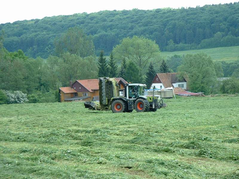 xerion_8.jpg