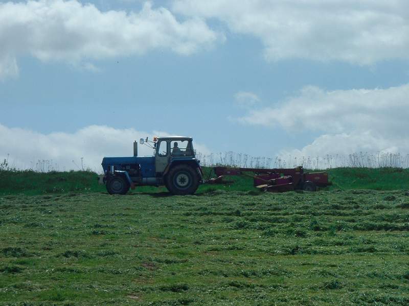 zt_303_11.jpg