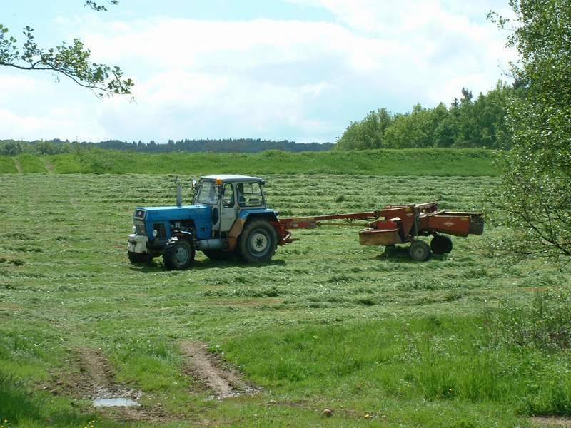 zt_303_13.jpg