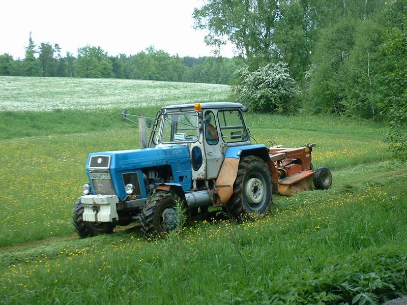 bilder/30_7_2017/DSC09209.jpg