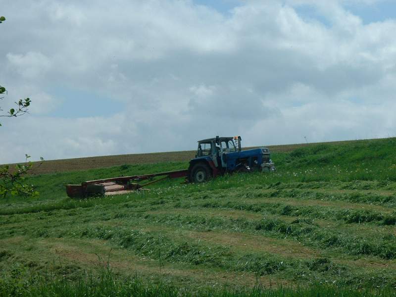 bilder/22_4_2003/zt_303_2.jpg