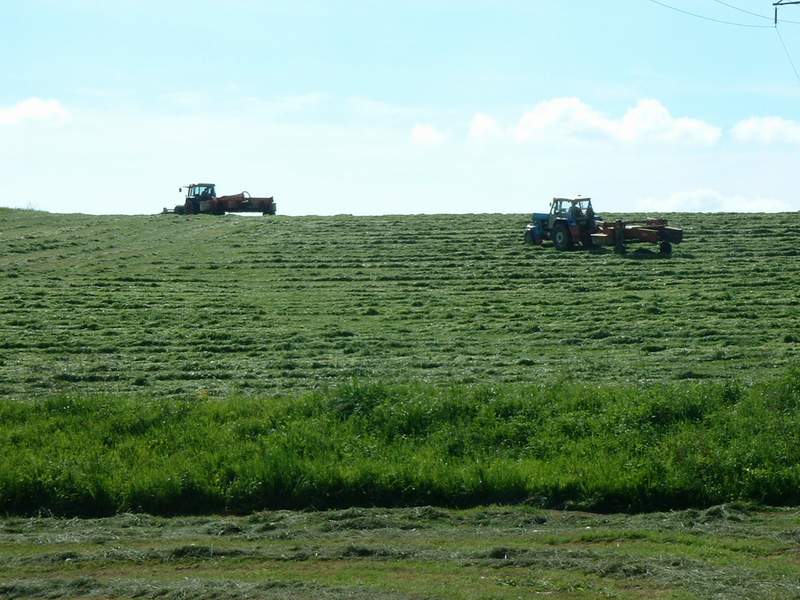 bilder/2_5_2003/fendt_824_2.jpg