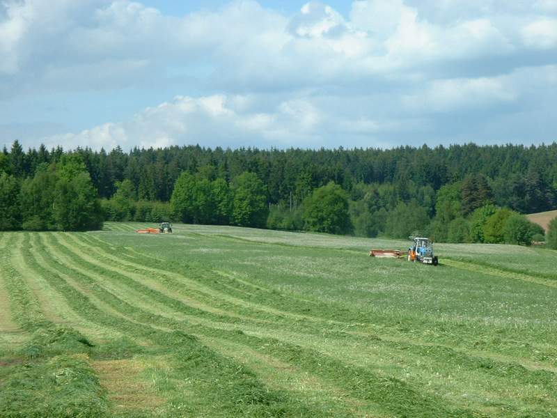 fendt_716_+_zt_303_6.jpg