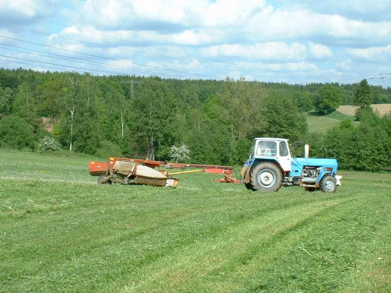 bilder/25_5_2012/CIMG8417.jpg