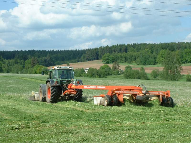 bilder/28_8_2002/xerion_8.jpg