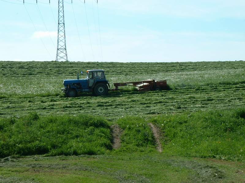 zt_303_25.jpg
