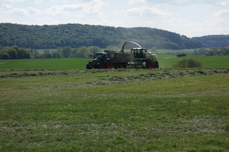bilder/28_8_2005/lexion_5.jpg