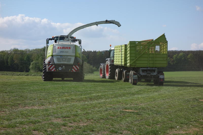 bilder/21_5_2015/DSC01277.jpg