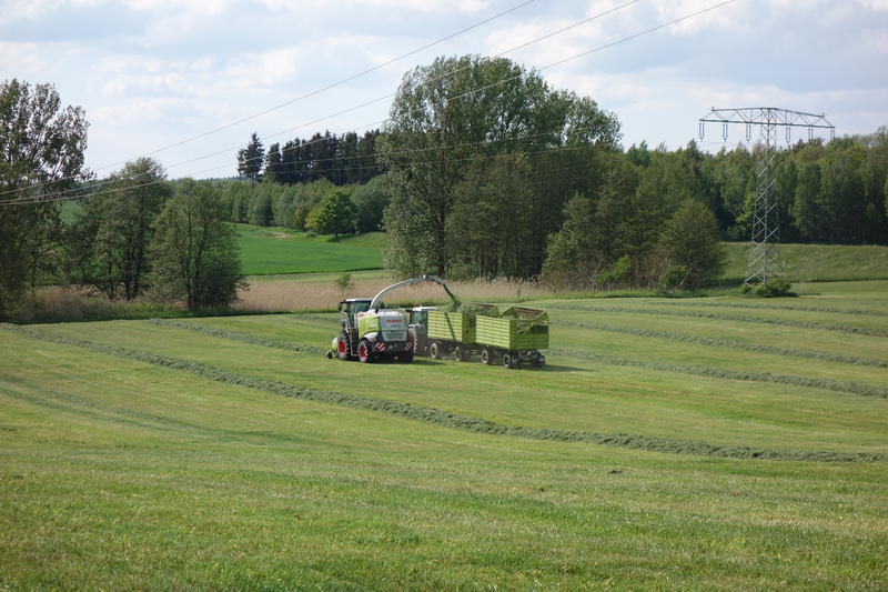 bilder/19_7_2011/CIMG3370.jpg