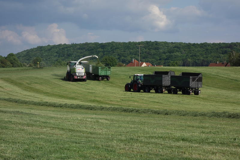 bilder/21_5_2015/DSC01308.jpg
