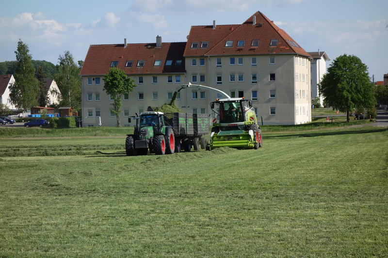 bilder/21_5_2015/DSC01319.jpg