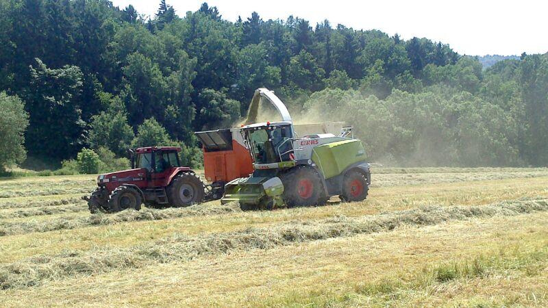 bilder/21_6_2013/IMG-20130701-WA0013_n.jpg