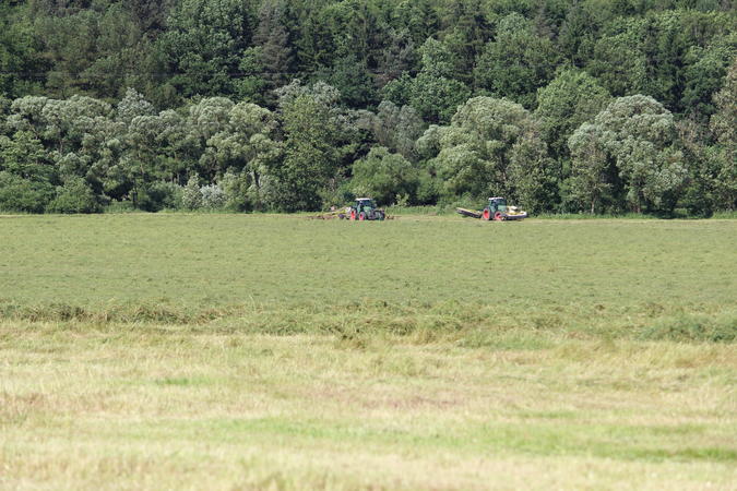 bilder/21_6_2013/IMG_0044.jpg