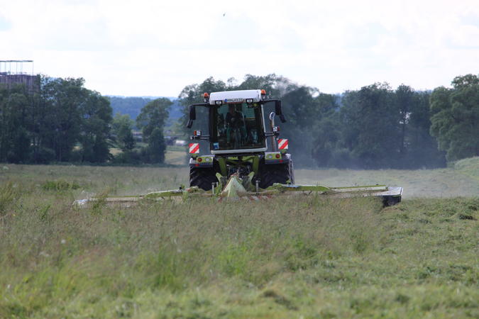 bilder/22_6_2013/IMG_0147.jpg