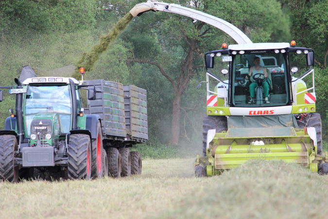 bilder/21_6_2013/IMG_0104.jpg