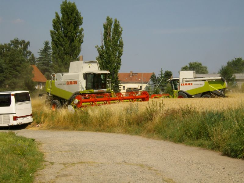 IMGP2087.jpg