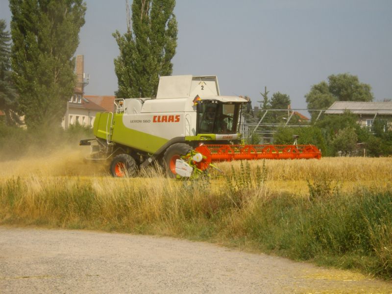 IMGP2090.jpg