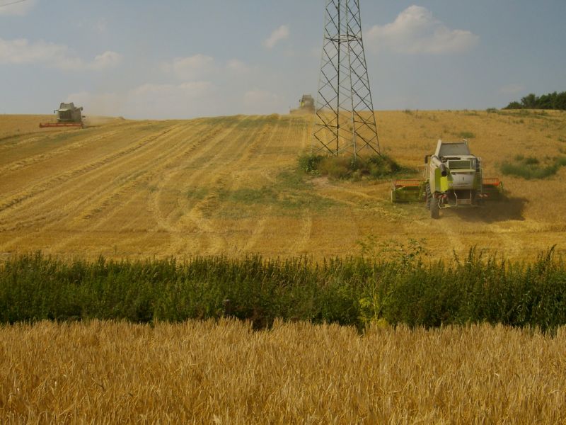 bilder/3_9_2011/CIMG4654.jpg
