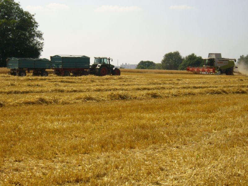 bilder/11_8_2013_3/CIMG9059.jpg
