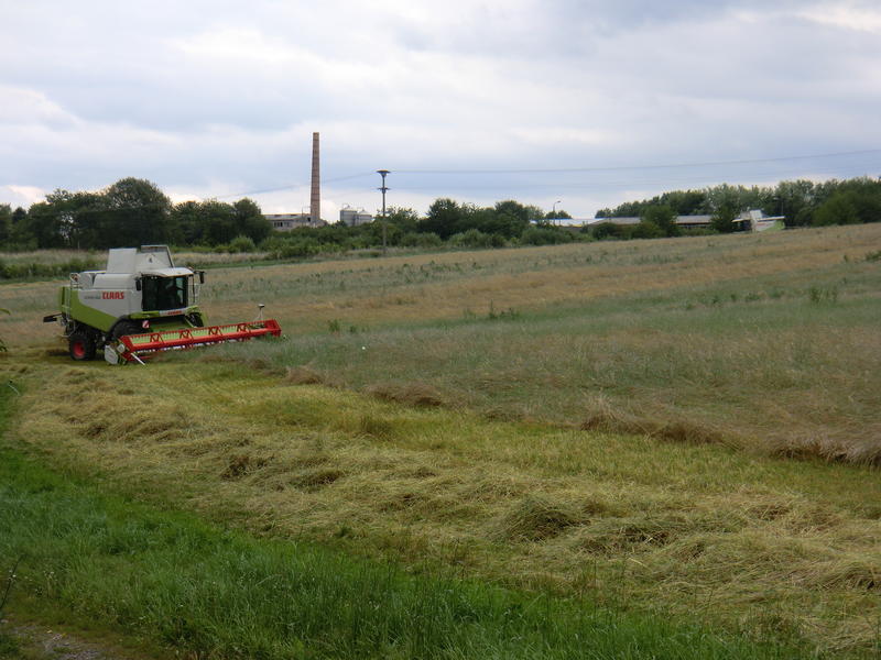 bilder/31_8_2014/CIMG7905.jpg