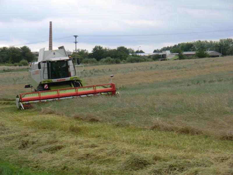 CIMG9769.jpg