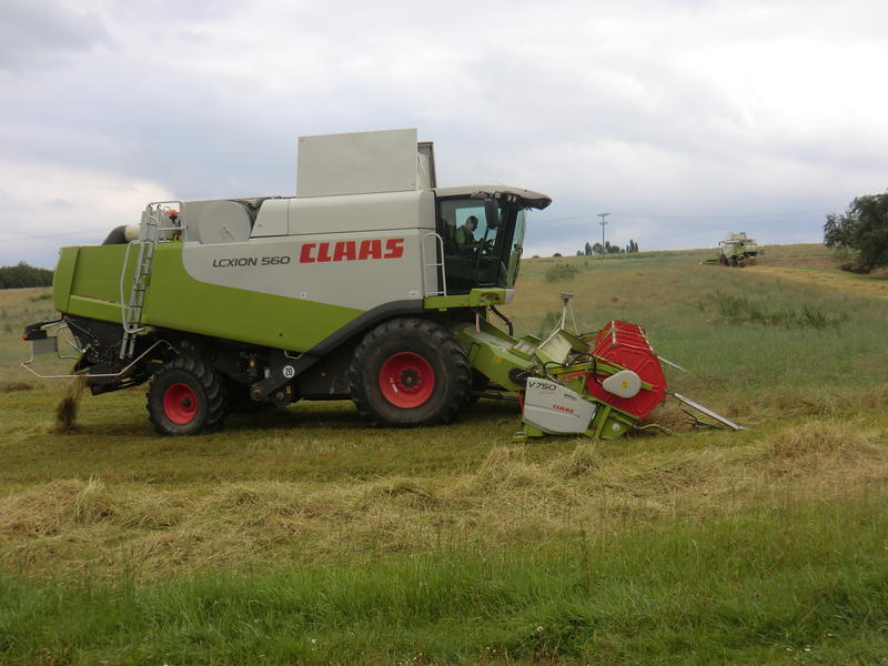 bilder/21_7_2012/CIMG9772.jpg