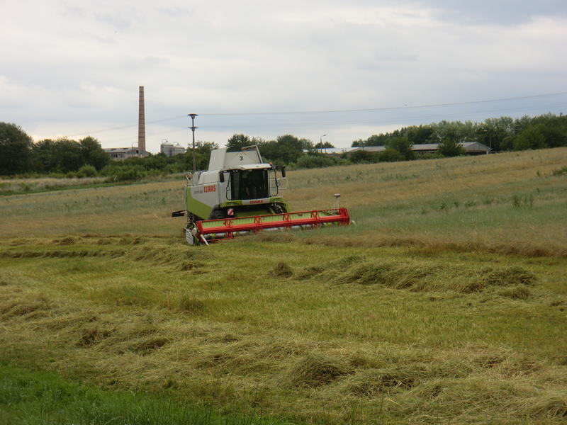 bilder/21_7_2012/CIMG9773.jpg